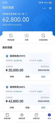有鱼贷款优势多额度灵活操作简，但安全性偏低需谨慎