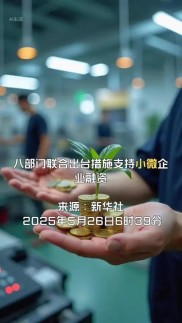 多部门联合印发支持小微企业融资的若干措施，多举措助力小微企业发展