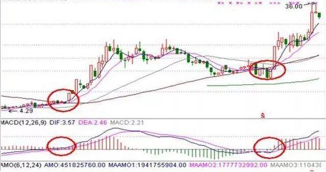 价值投资与投机行为对比_巴菲特中国股市投资策略_价值股票投资
