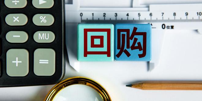 公司以股票形式发放股利_分红股票投资时机_A股分红回购