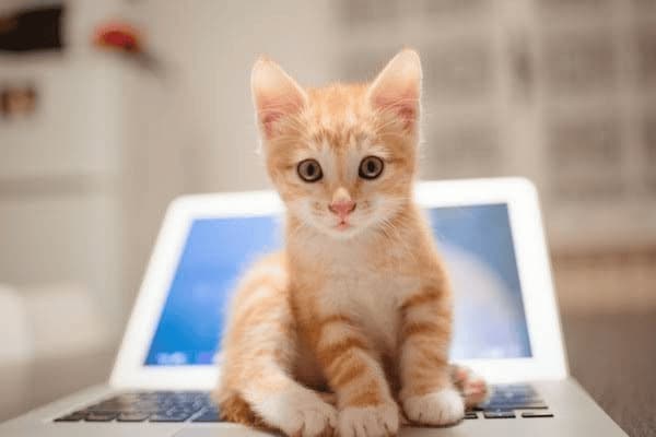 沈阳二手房补贴政策,沈阳二手房补贴政策最新