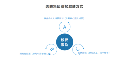 期权激励 股票期权 行权期_公司股票期权激励计划
