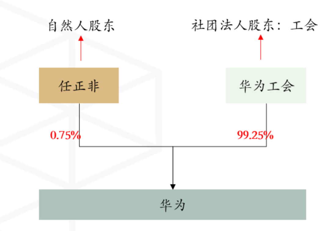虚拟期权股票怎么交易_虚拟期权股票代码_虚拟股票期权