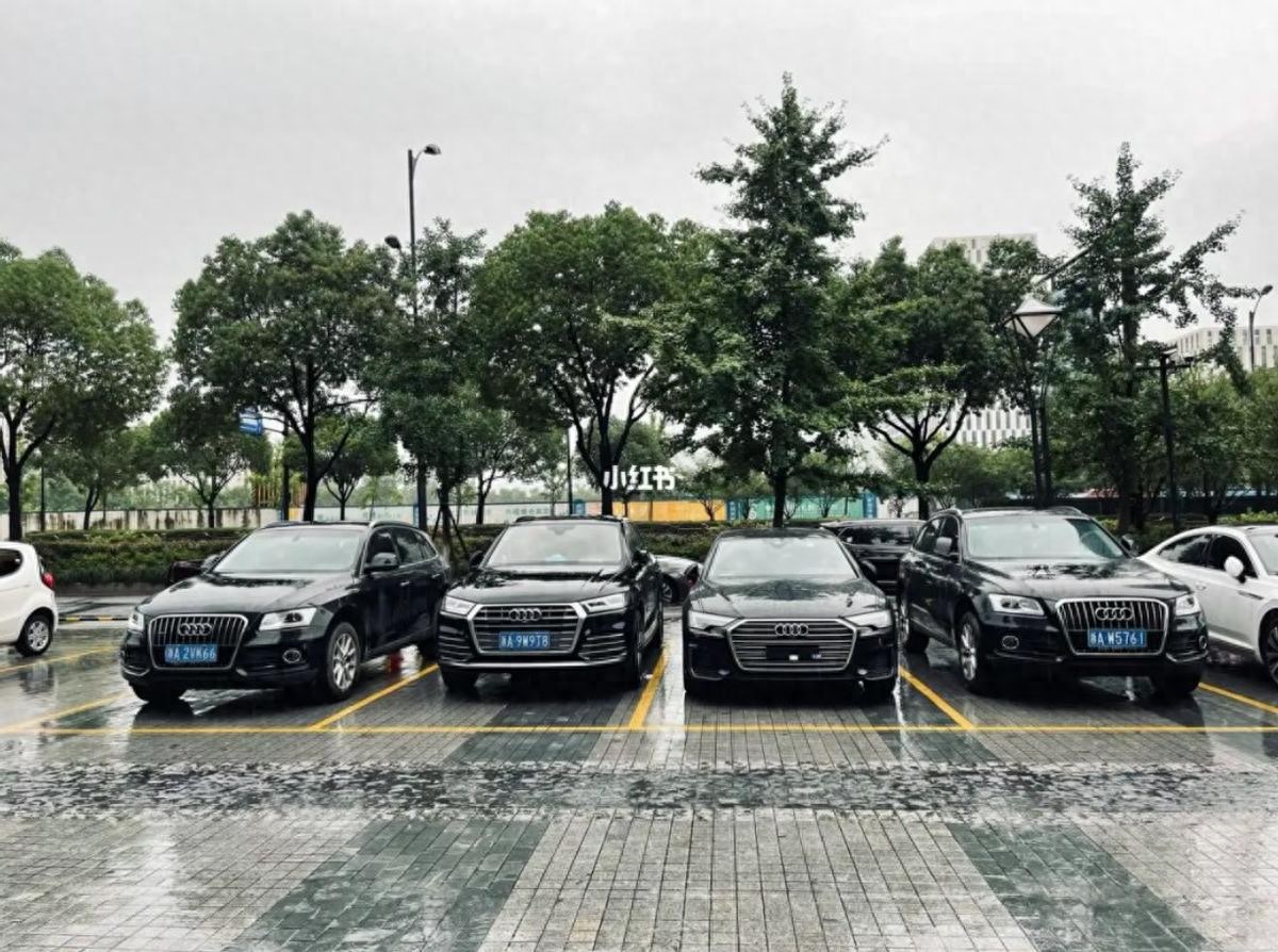 月薪7000元买奥迪A4L贷款生活现状_工资贷款买车_贷款购车真实成本分析