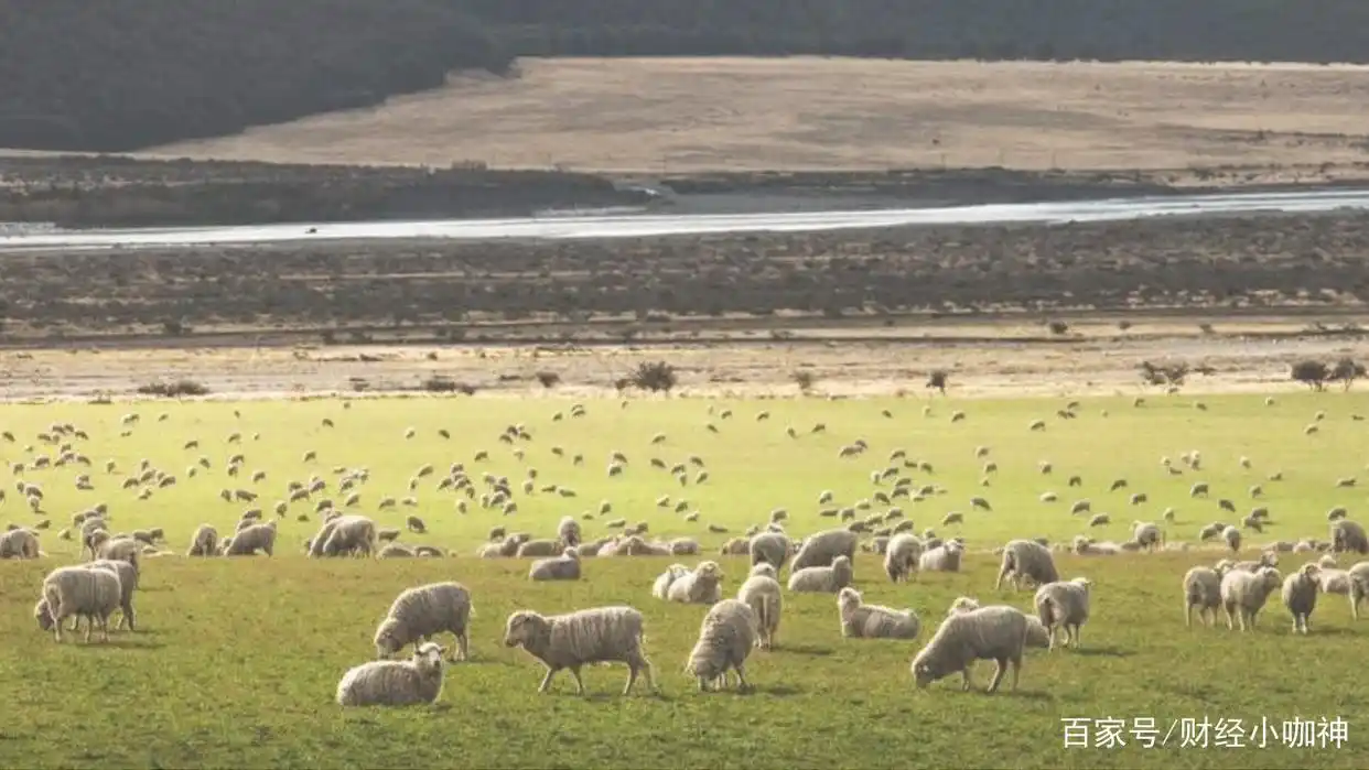 52周存款挑战_告别月光族理财技巧_如何进行理财