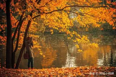 52周存款挑战_如何进行理财_告别月光族理财技巧