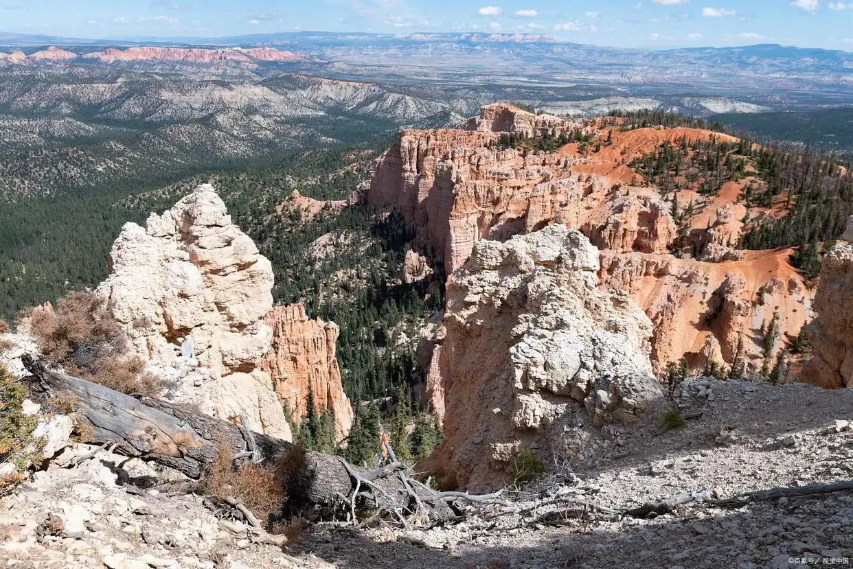 未上市股票公司结束如何处理_上市股票结束处理公司怎么办_上市公司股票终止的情况
