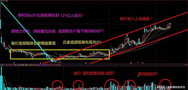 白马股财务分析_兖州煤业股票投资风险分析论文_白马股投资策略