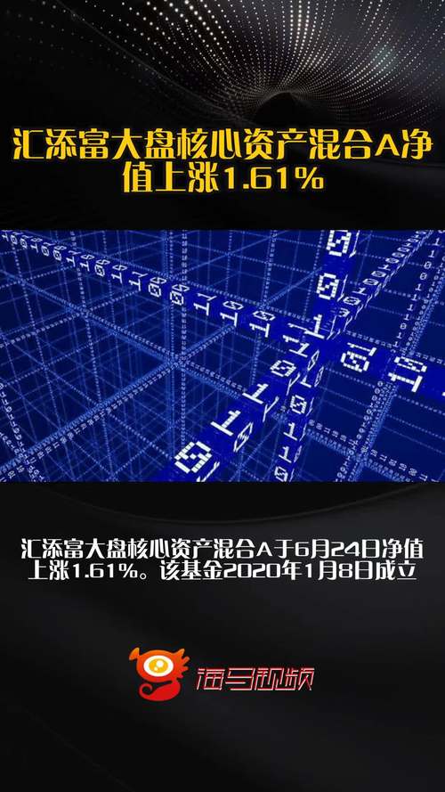 汇添富大盘核心资产混合A基金经理王栩_汇添富大盘核心资产混合A净值增长_汇添富理财30天a