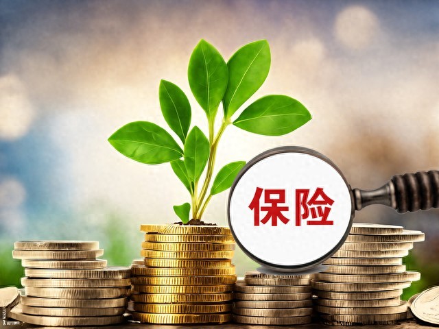 买保险投资收益_理财型保险骗局揭秘_保险投资 理财