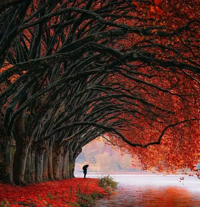 2025股市回本意义_股票投资心态_长期稳定盈利基石