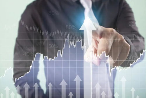 某上市公司被借壳上市,那么这个上市公司之前买它的股票怎么办?怎么兑换成新的公司的股票?是等值兑换吗