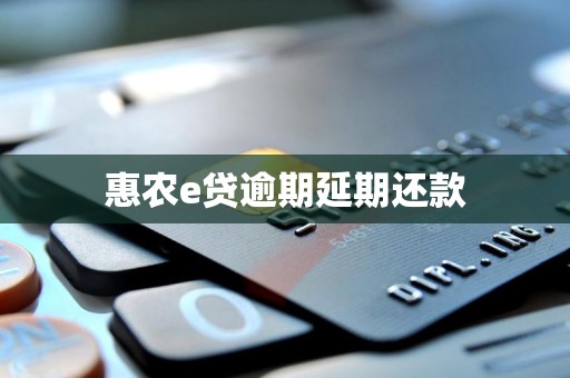 惠农e贷逾期延期还款