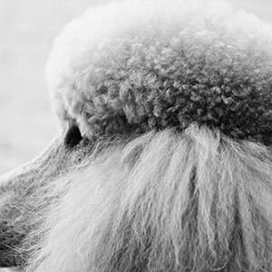 股权转让协议怎么写_公司股权转让流程_权证和股票期权的区别