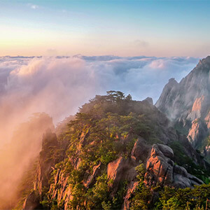 公司股权转让流程_股权转让协议怎么写_权证和股票期权的区别