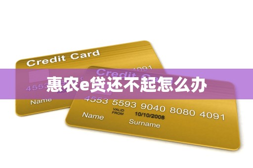 惠农e贷还不起怎么办