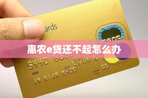 惠农e贷还不起怎么办