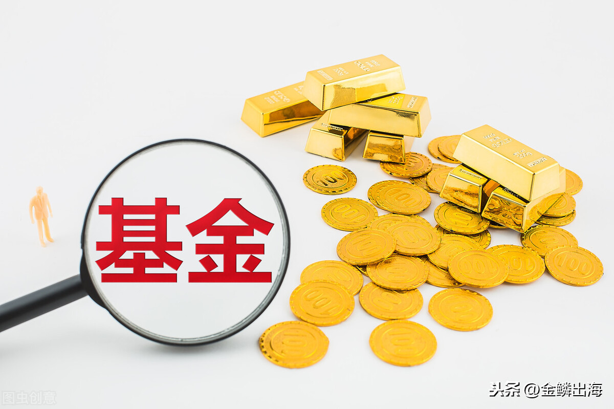 基金入门指南_基金种类与投资技巧_什么是基金理财